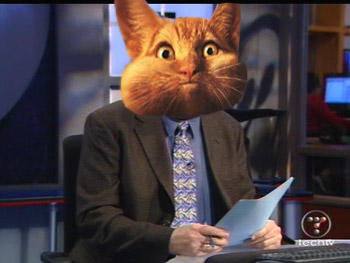 Pirilloean Dvorakitty a la Tara dvorakitty Pirilloean Dvorakitty a la Tara